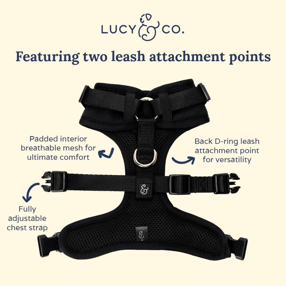 Lucy & Co. arnés neopreno ajustable para cuello y pecho personalizados.