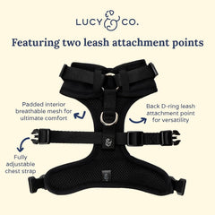 Lucy & Co. arnés neopreno ajustable para cuello y pecho personalizados.