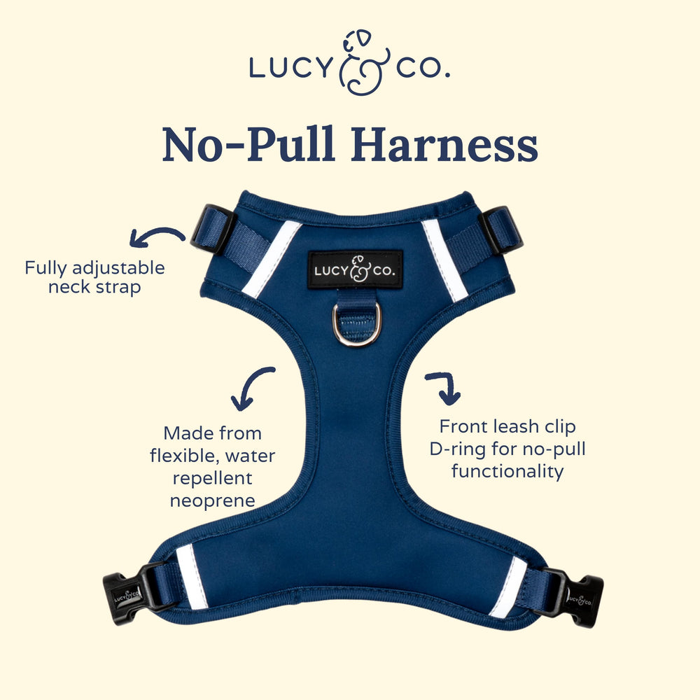 Lucy & Co. arnés No-Tira detalle D-Rings, dos puntos de sujeción para entrenamiento.
