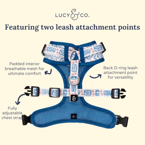 Lucy & Co. talla XS para perros pequeños, ajuste cómodo.
