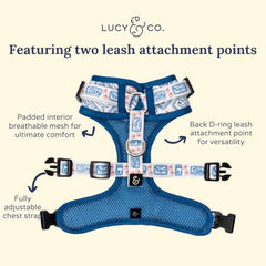 Lucy & Co. talla XS para perros pequeños, ajuste cómodo.