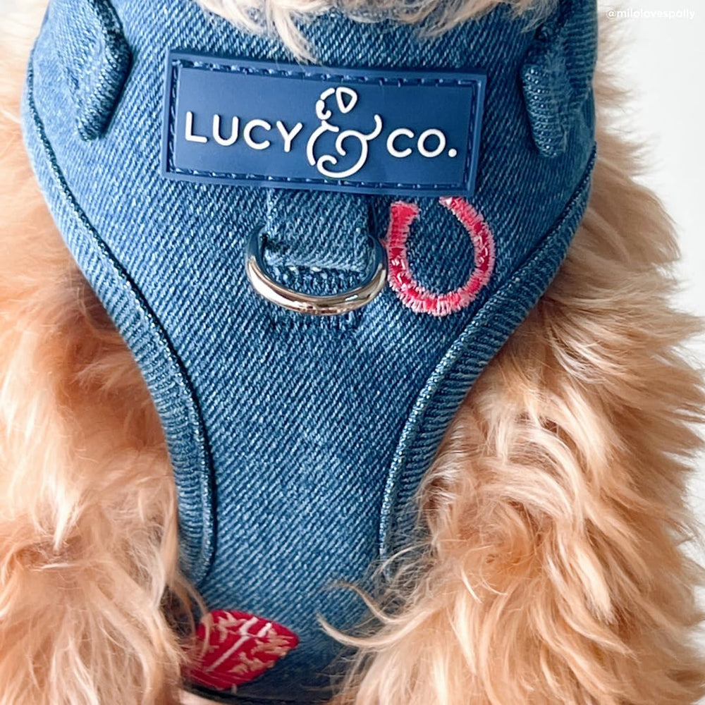 Acabados y costuras del arnés Lucy & Co. vaquera mezclilla para durabilidad.