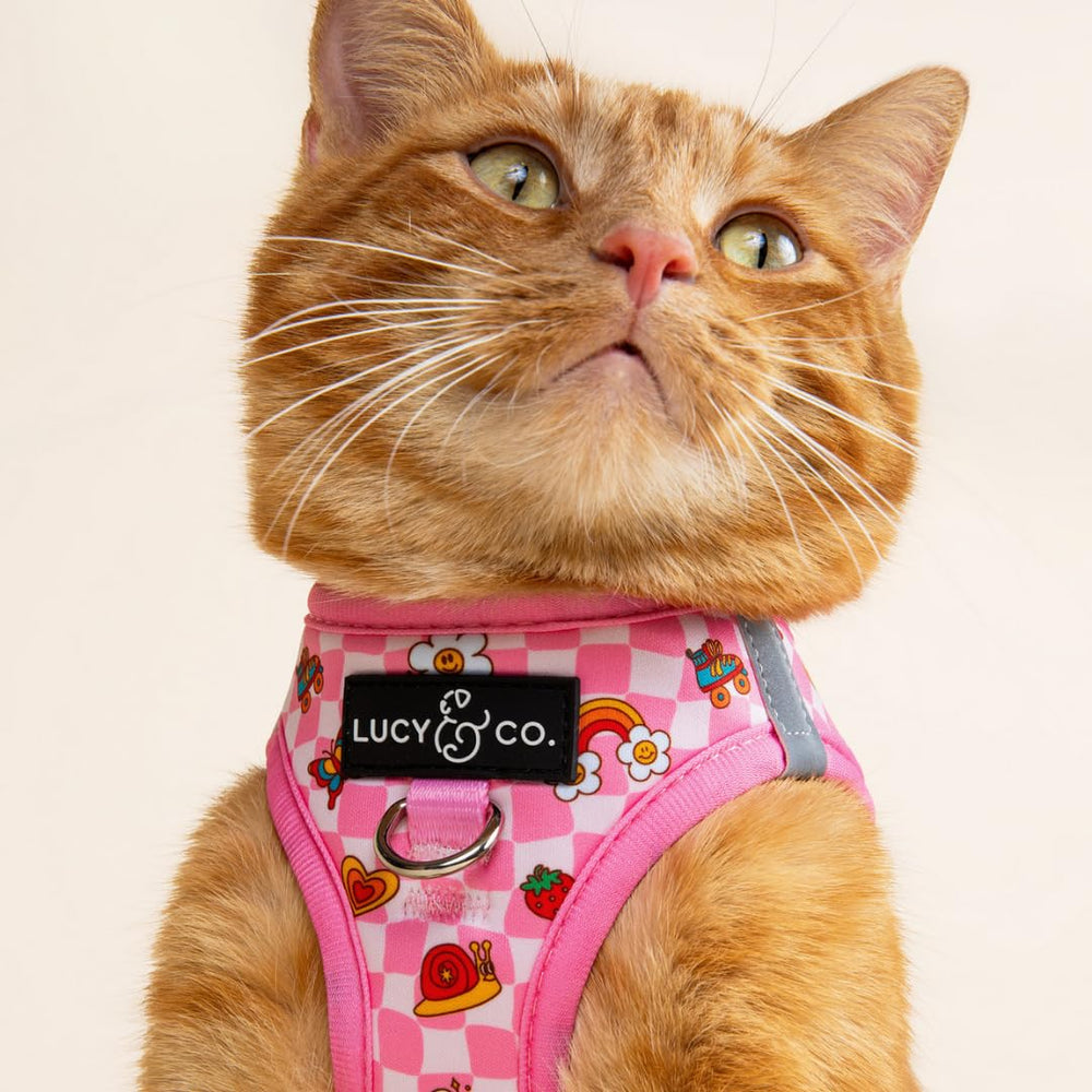 Lucy & Co. correa con enganche giratorio para paseos suaves