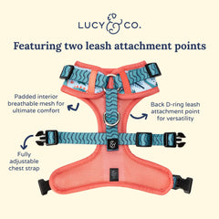 Lucy & Co. DinoROAR: ajuste cuello y pecho para un ajuste cómodo