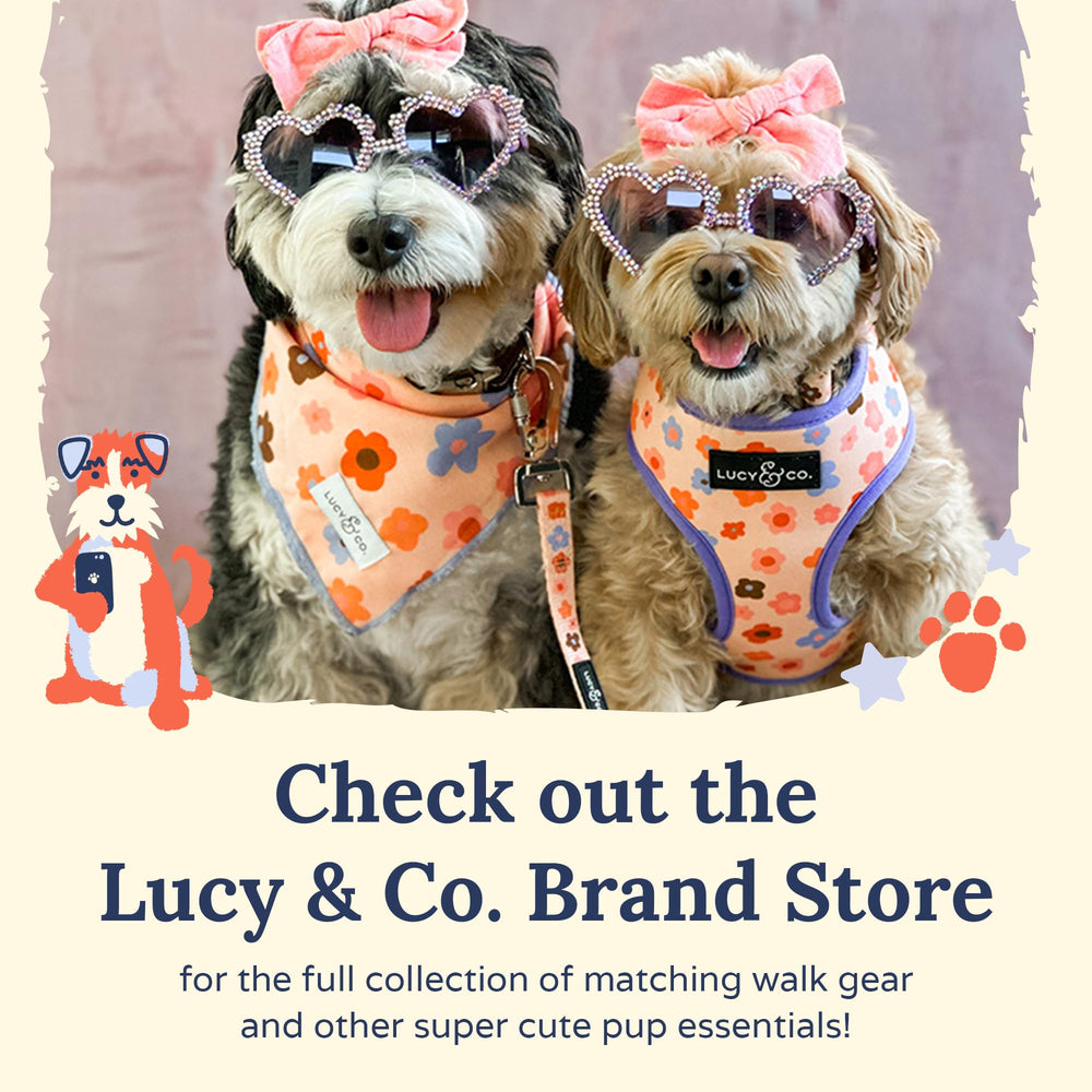 Lucy & Co. DinoROAR: edición limitada en colores vivos para aventuras