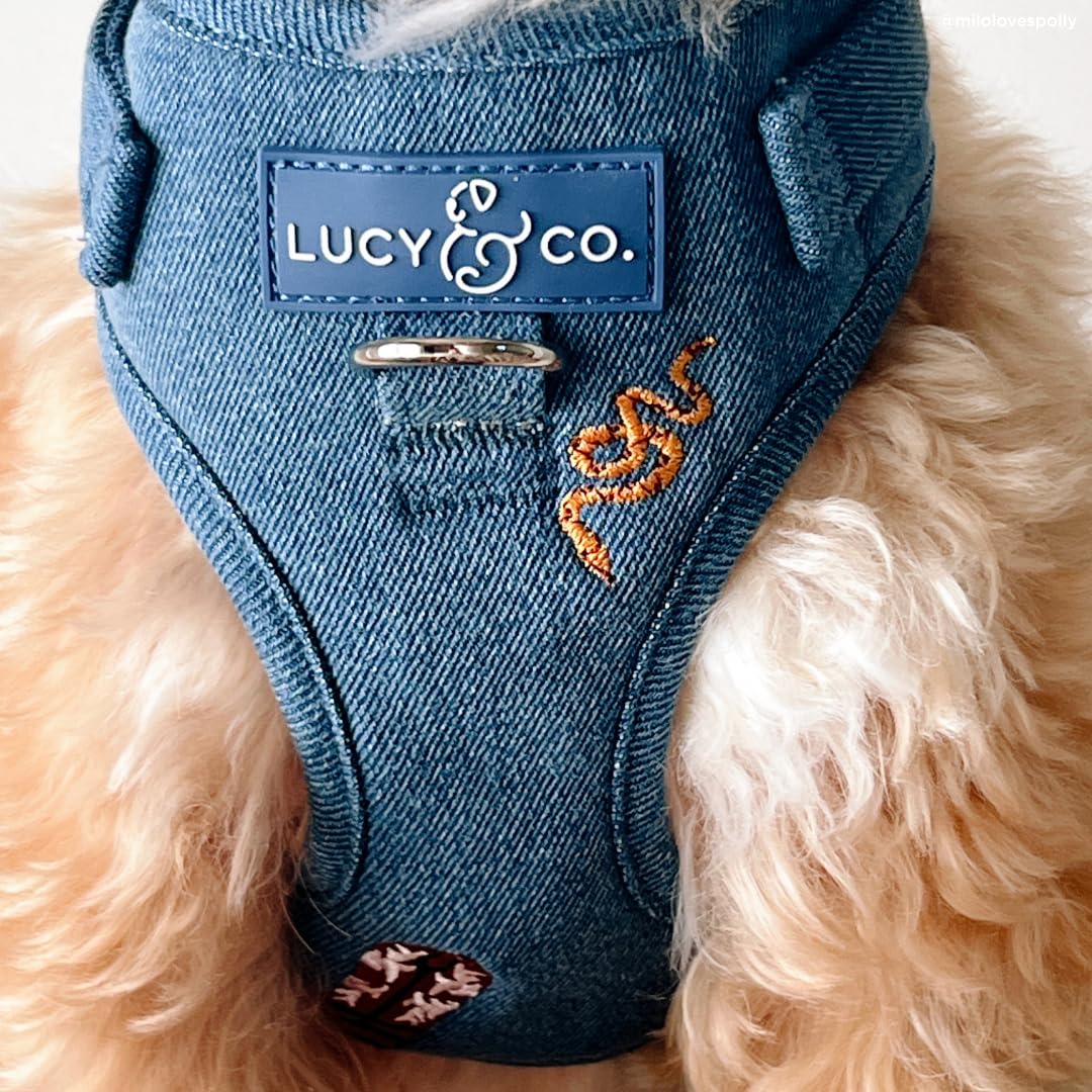 Lucy & Co. Giddy Up – diseño vaquero azul para estilo y comodidad.