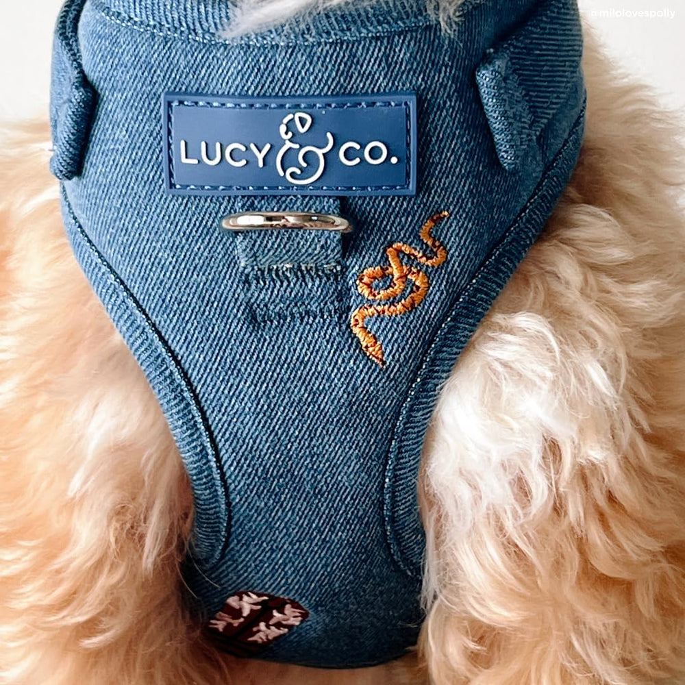 Lucy & Co. Giddy Up: tallas XS a XL para perros de todos tamaños.