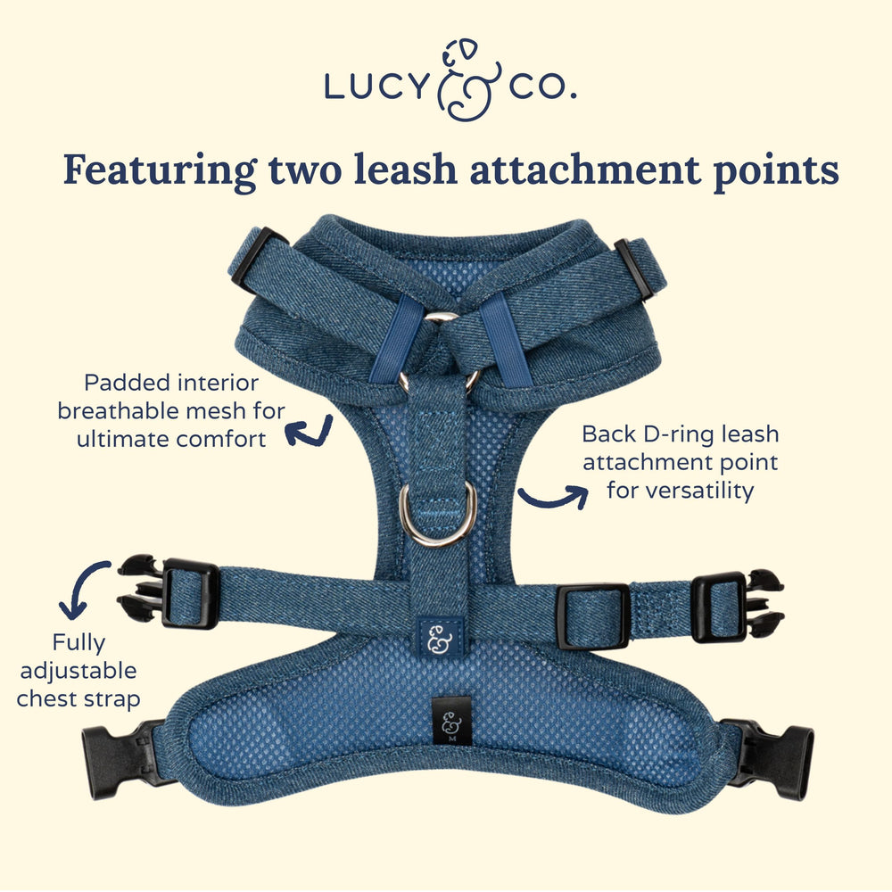 Lucy & Co. Giddy Up: ideal para paseos de otoño e invierno.