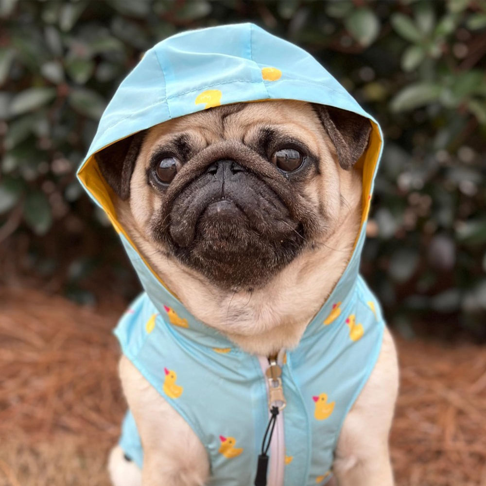 Lucy & Co. Lucky Ducky: tela de nylon impermeable para mayor durabilidad y confort.