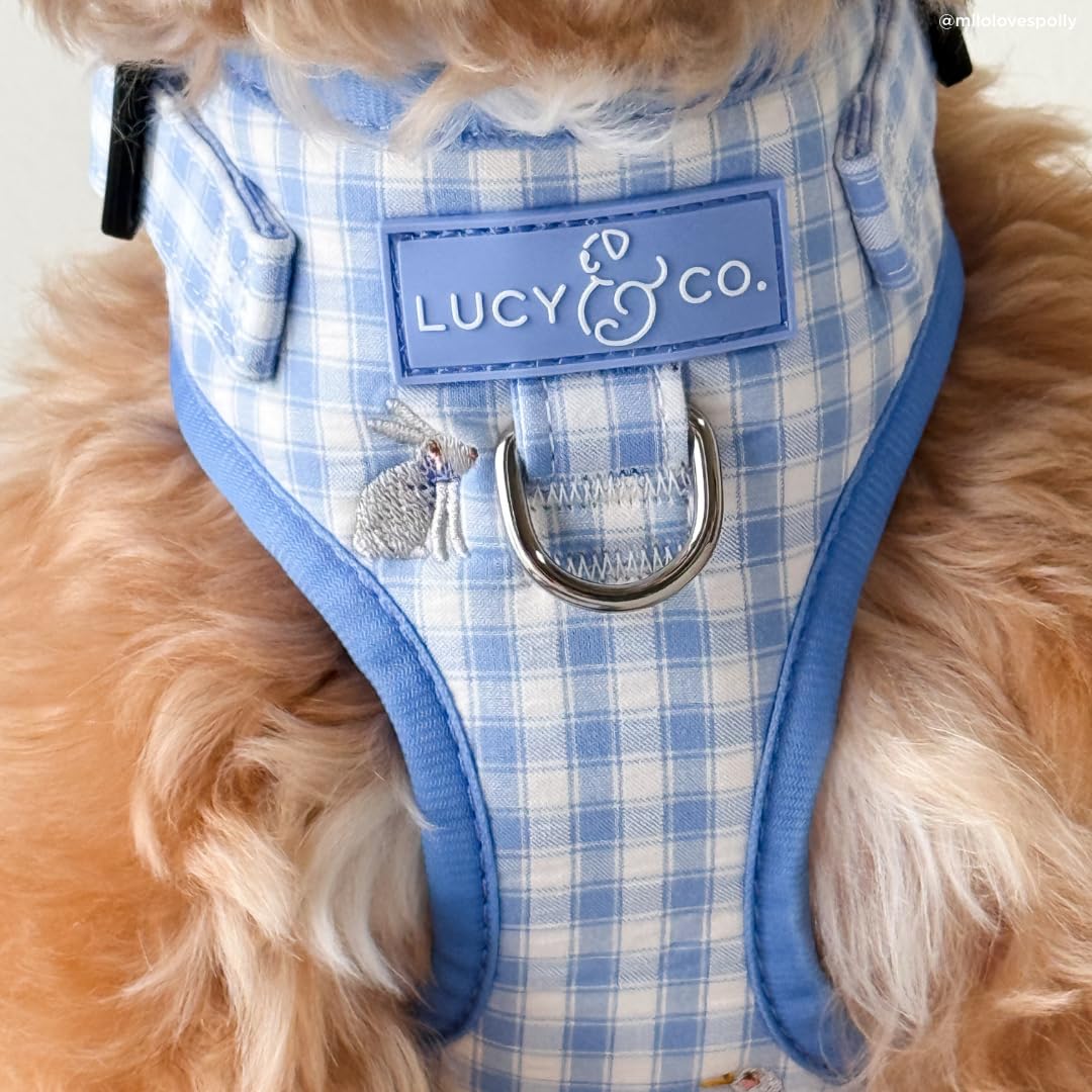 Lucy & Co. Silly Goose: arnés en acción para paseos urbanos seguros.