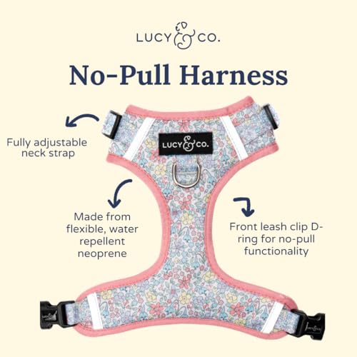  Lucy & Co. Ditsy Daydream talla grande para perros de complexión amplia.