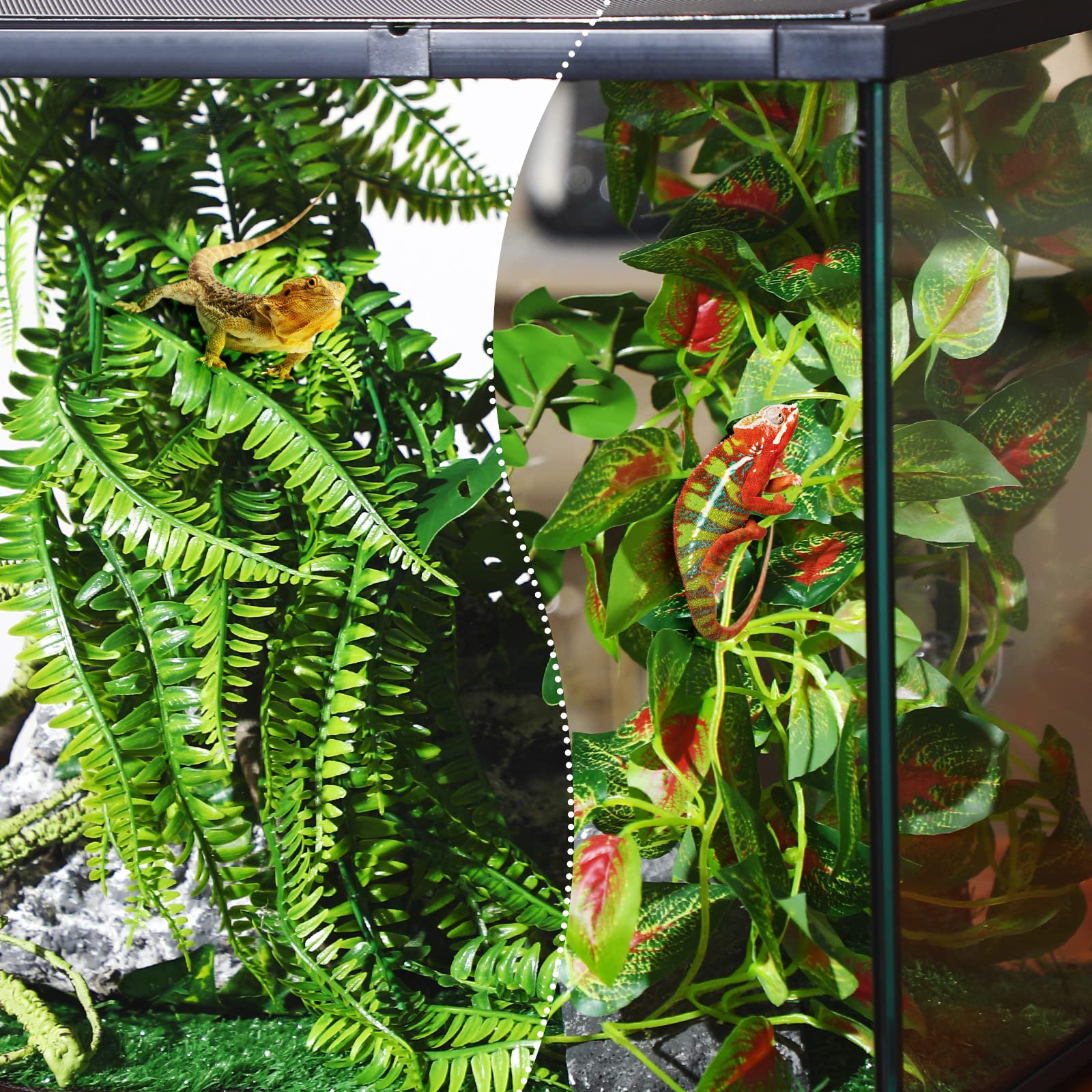 LuinaBio accesorios reutilizables para terrario versátiles