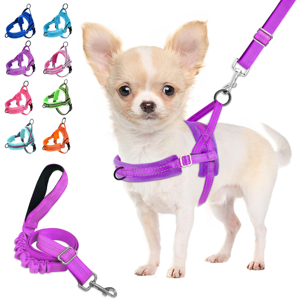 Arnés Lukovee para perro pequeño con ajuste cuello-pecho, cómodo para paseos diarios.