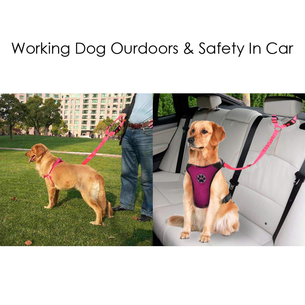 Lukovee cinturón con rotación de 360°, movilidad segura para el perro.