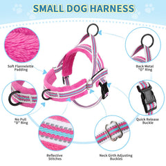 Lukovee correa de 4 pies anti-tirones, ideal para paseos seguros