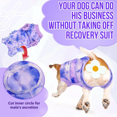 Lukovee Recovery Suit para perros evita lamer heridas