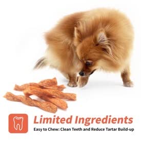 Alternative sans cuir brut LuvChew pour chiens actifs