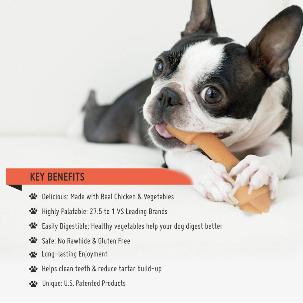 Sin gluten, opción para dietas sensibles de perros