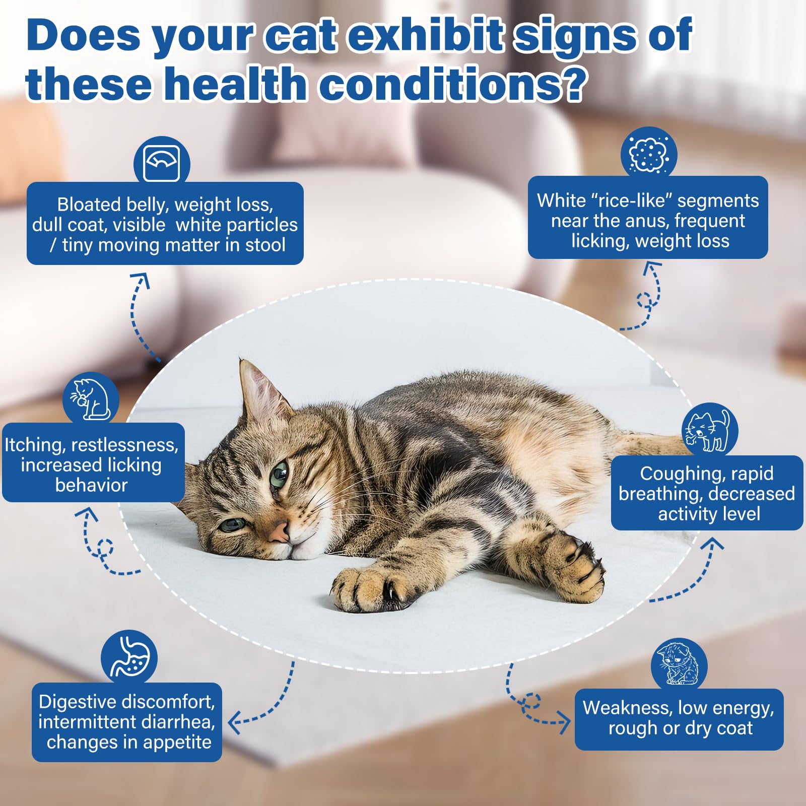 LuxeVib Desparasitante para gatos, aplicacion-oral: dosis segura para felinos