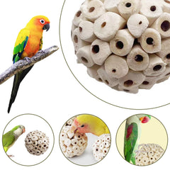 LWINGFLYER bola sola para hámsters, mantiene a tu mascota entretenida y activa.