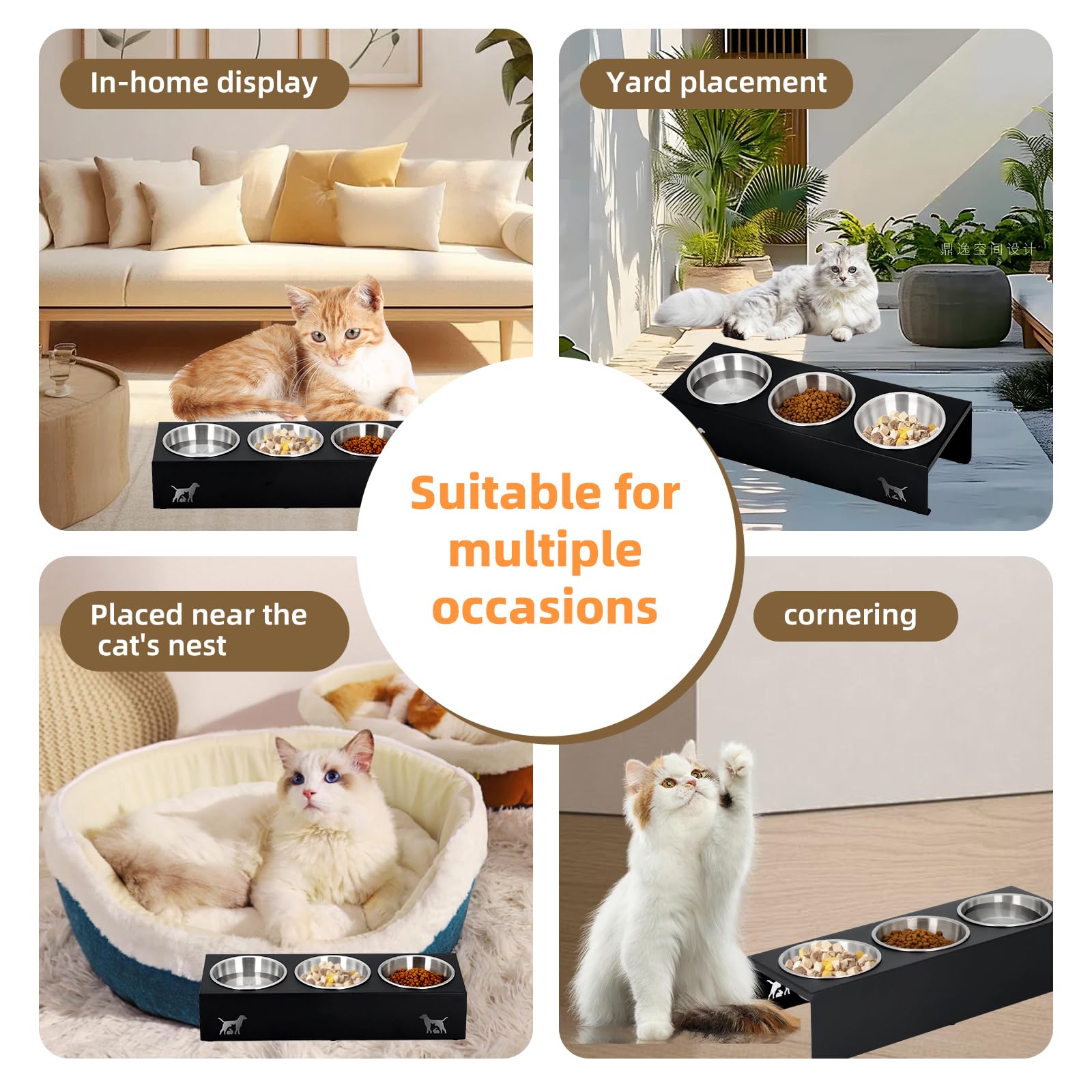 Set LYCC multi-gatos para alimentación independiente en casa.