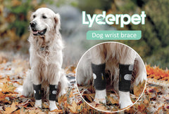 Lyderpet soporte carpales para perro mejora estabilidad y movilidad.