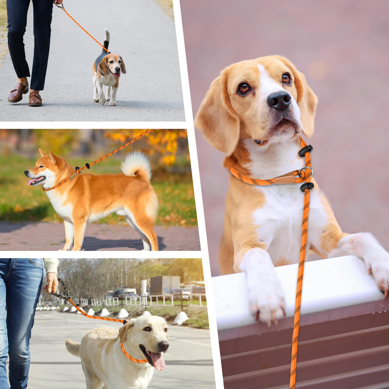 Lynxking entrenamiento de perros: control suave con correa deslizante.