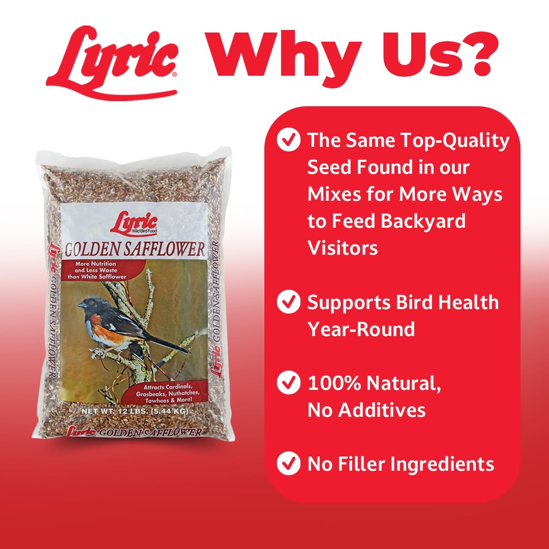 Lyric Cartamo Dorado, cardenales atraídos por semillas nutritivas.