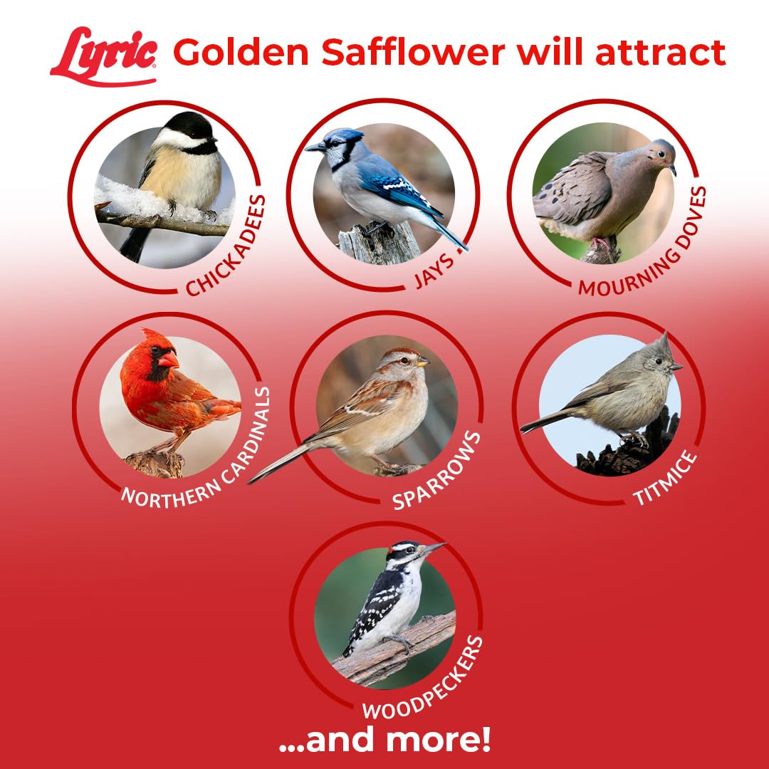 Lyric Cartamo Dorado ofrece más aceites y proteínas para aves.