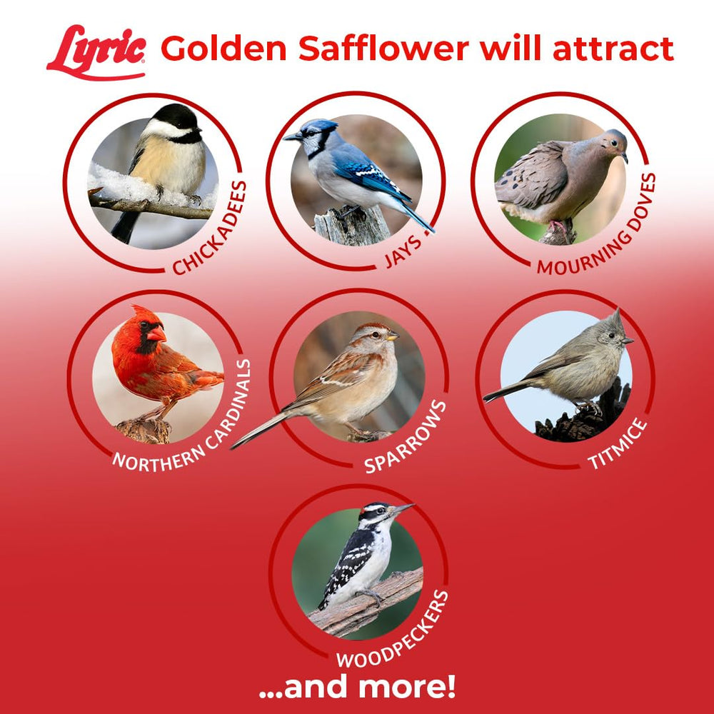Lyric Cartamo Dorado ofrece más aceites y proteínas para aves.