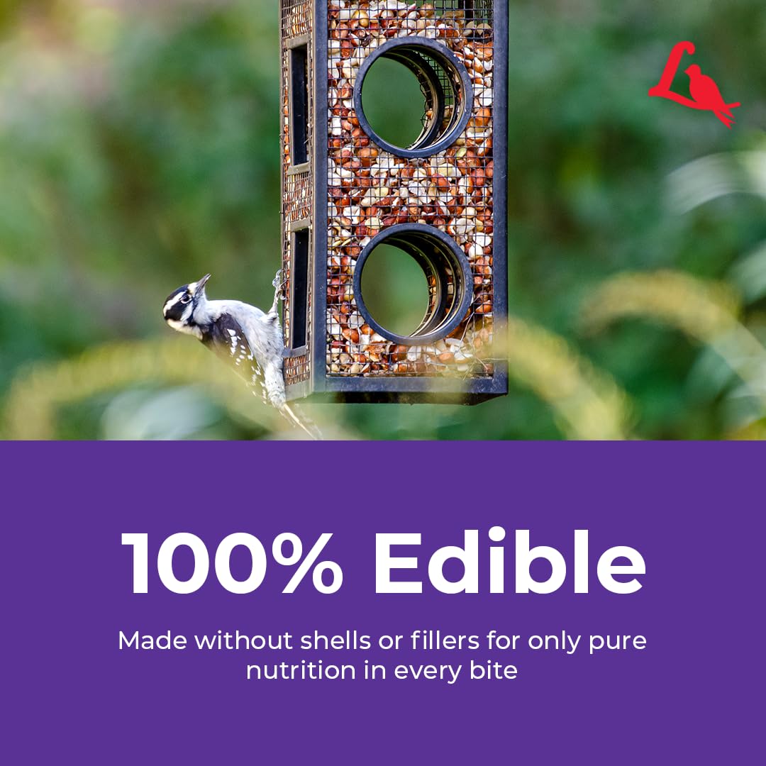 Lyric Delite: compatible con varios comederos para patios.