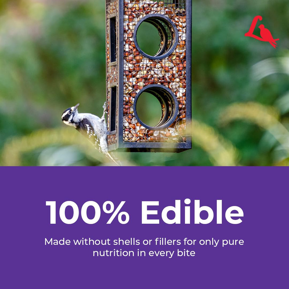 Lyric Delite: compatible con varios comederos para patios.