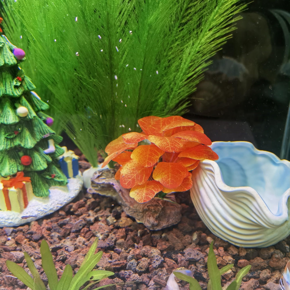 M2cbridge conjunto de plantas, ideal para pequeños acuarios.
