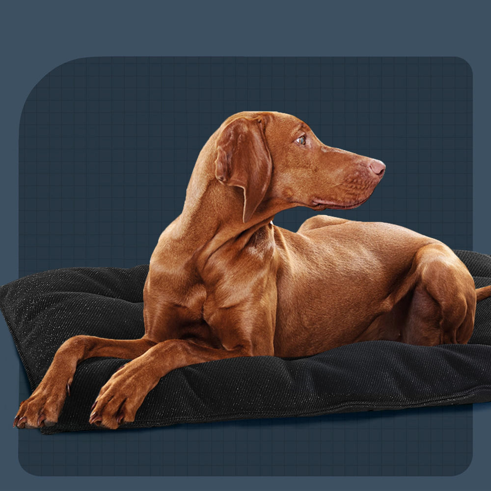 Cama Mabozoo para perros de uso intenso, protege el suelo.
