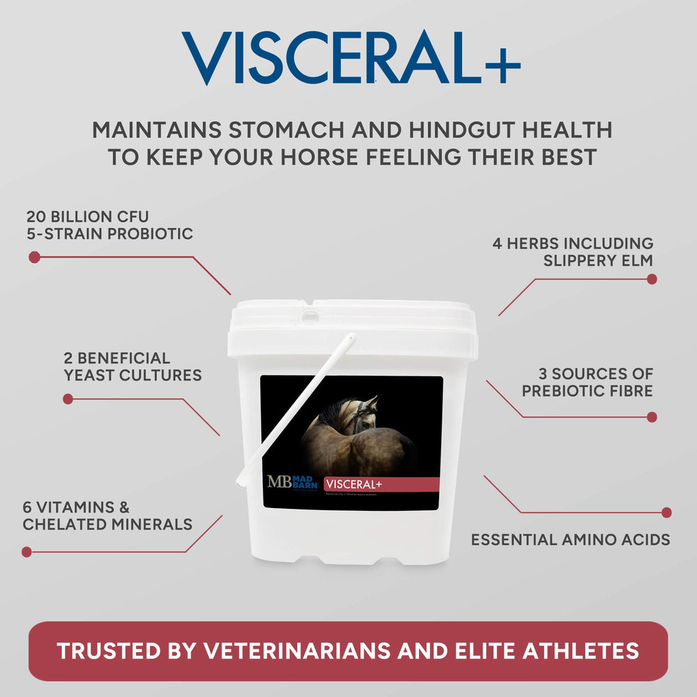 Desarrollado junto a veterinarios para mantener estómago e intestino posterior.