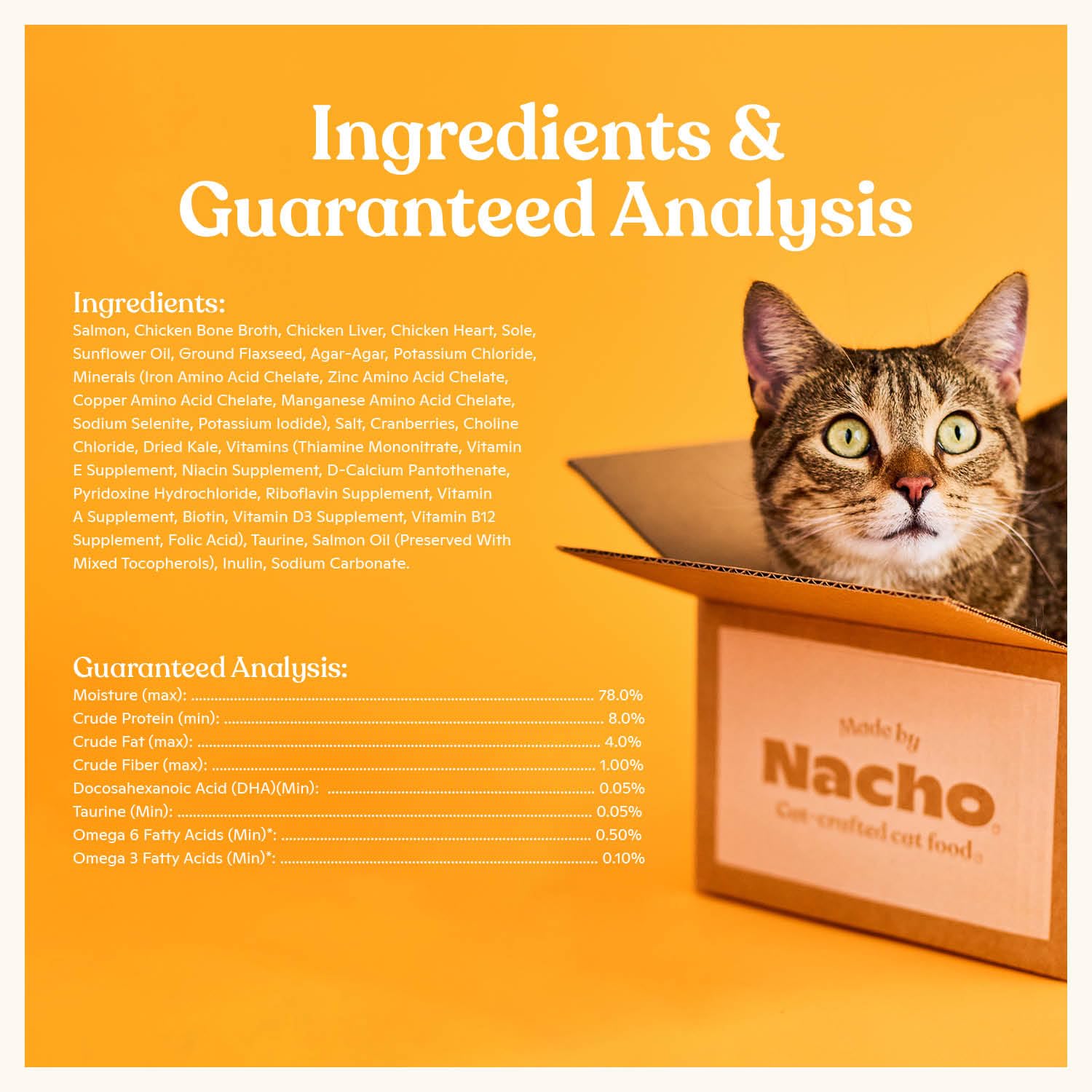 Made by Nacho: gato disfrutando paté de salmón y lenguado.