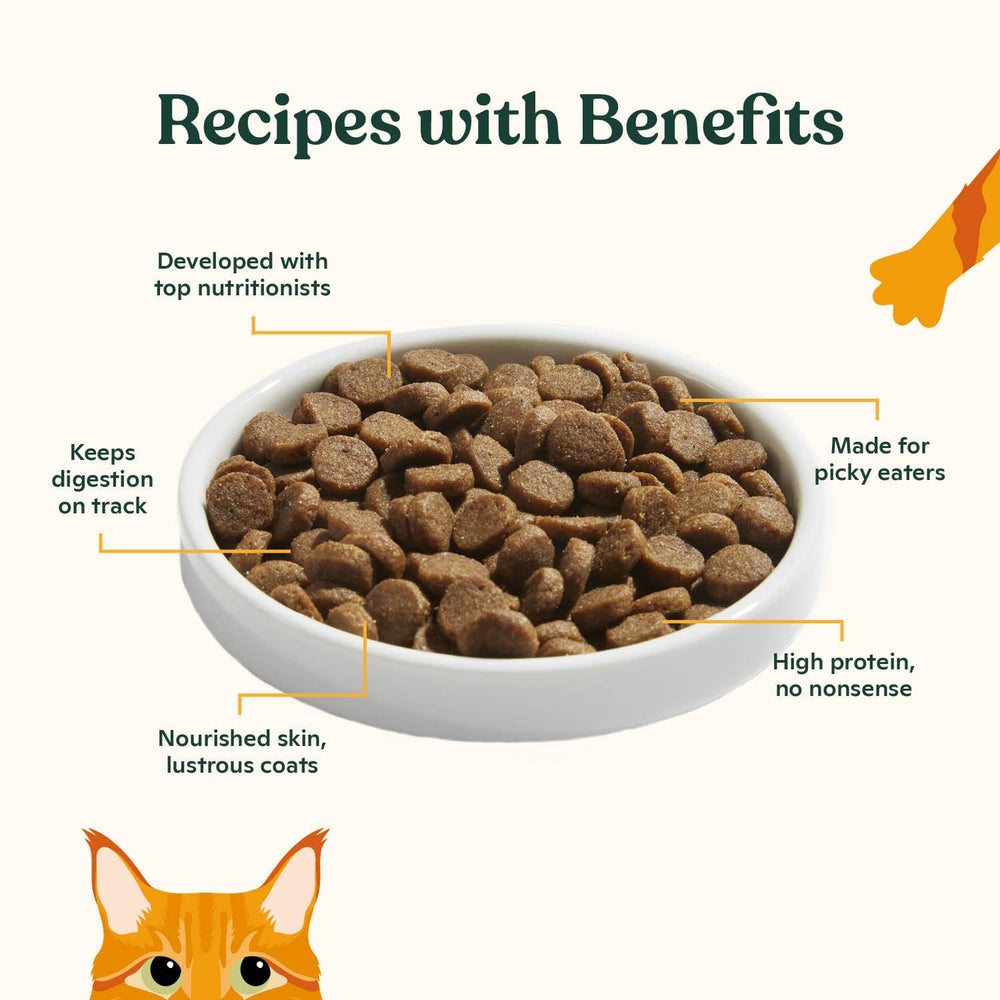 Made by Nacho, kibble con calabaza para apoyo digestivo y fibra