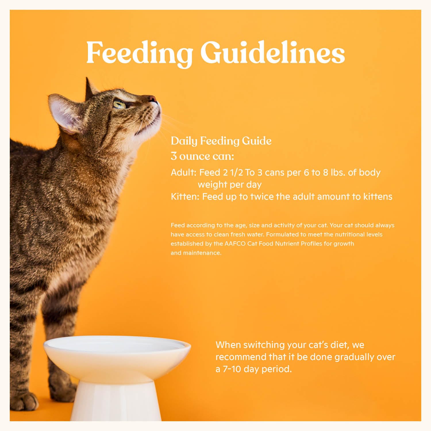 Made by Nacho: nutrición completa para gatos adultos.