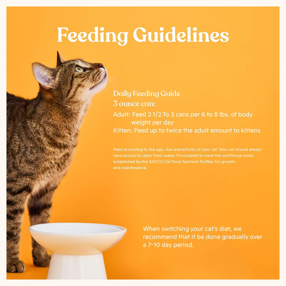 Made by Nacho: nutrición completa para gatos adultos.