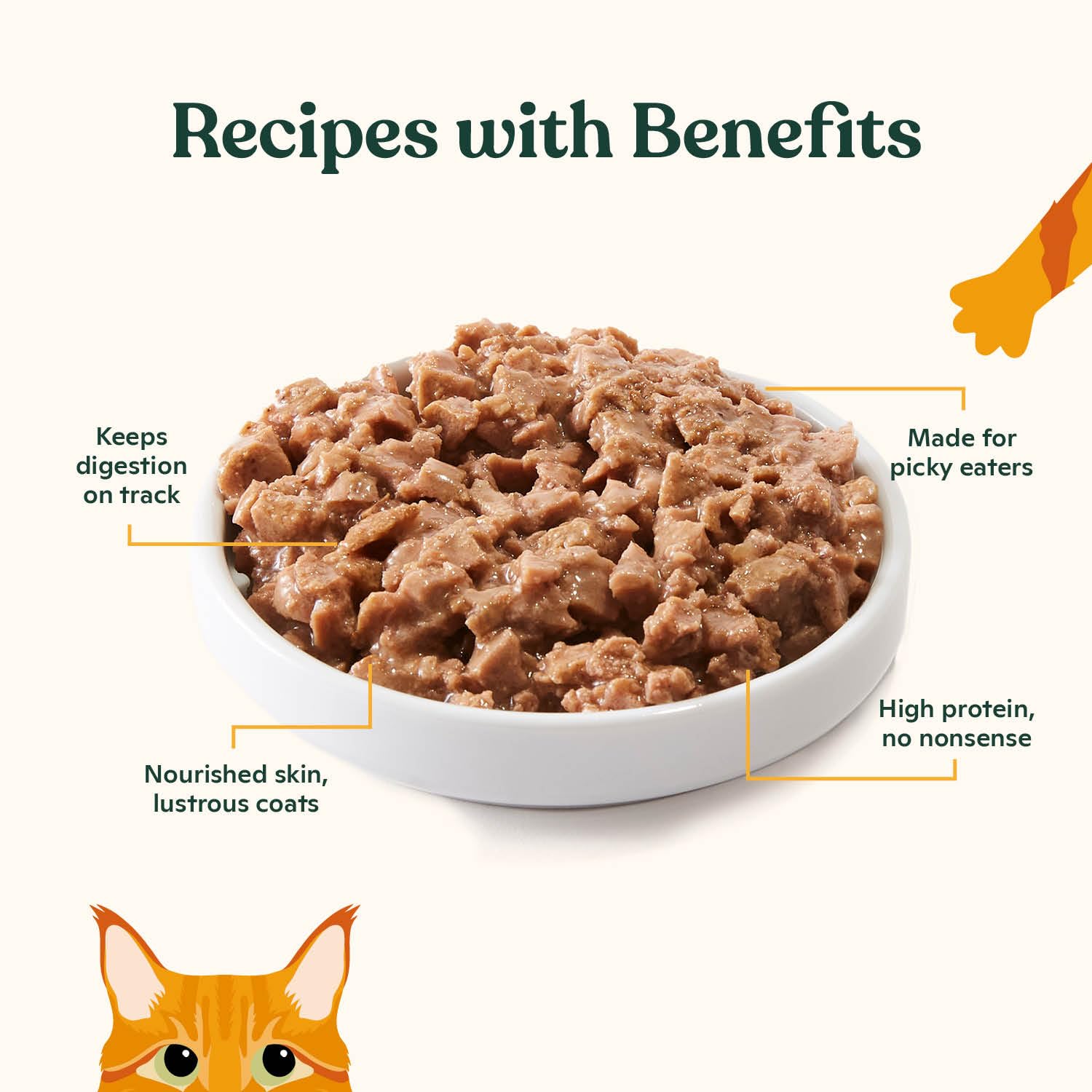 Paté sin granos de Made by Nacho para gatos sin cereales.