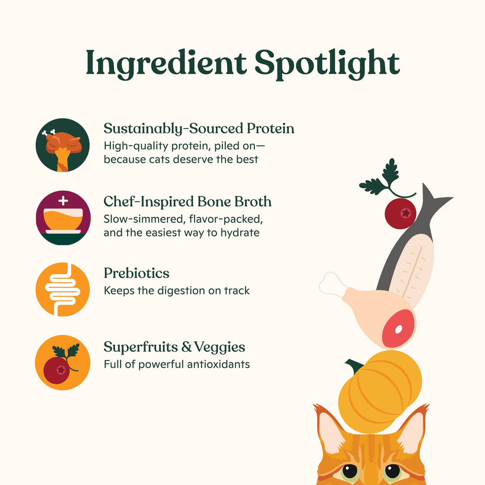 Made by Nacho: prebióticos para apoyar la digestión felina.