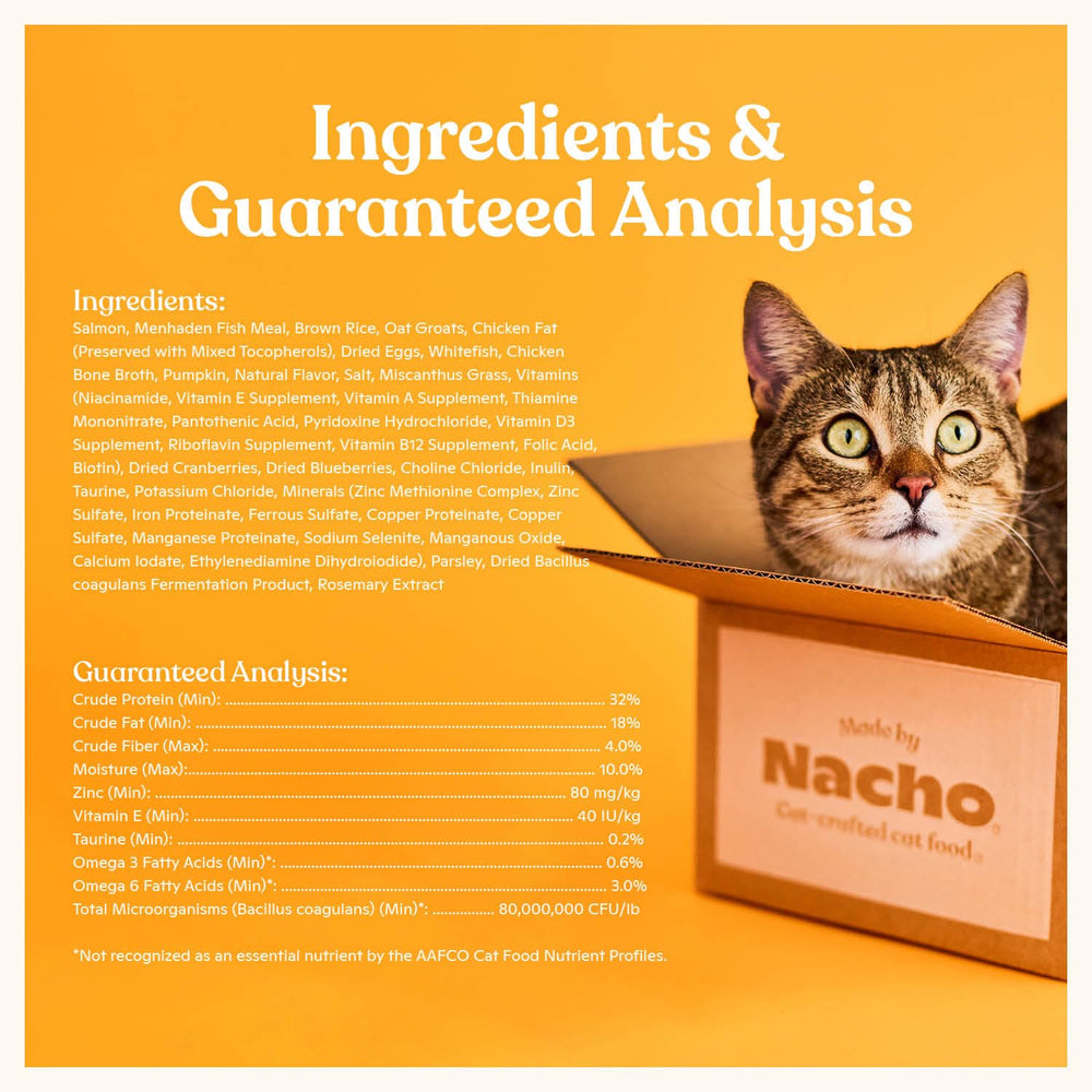 Textura crujiente de las croquetas de Made by Nacho para gatos exigentes.