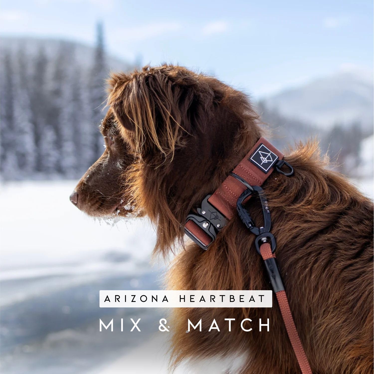 MADE TO ROAM Explorer Leash: longitud de 6 pies para mayor libertad controlada.