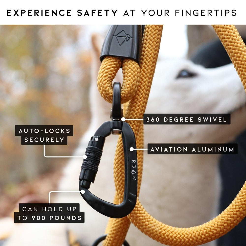 MADE TO ROAM Explorer Leash en playa con perro, libertad segura junto al mar.