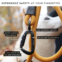 MADE TO ROAM Explorer Leash en playa con perro, libertad segura junto al mar.
