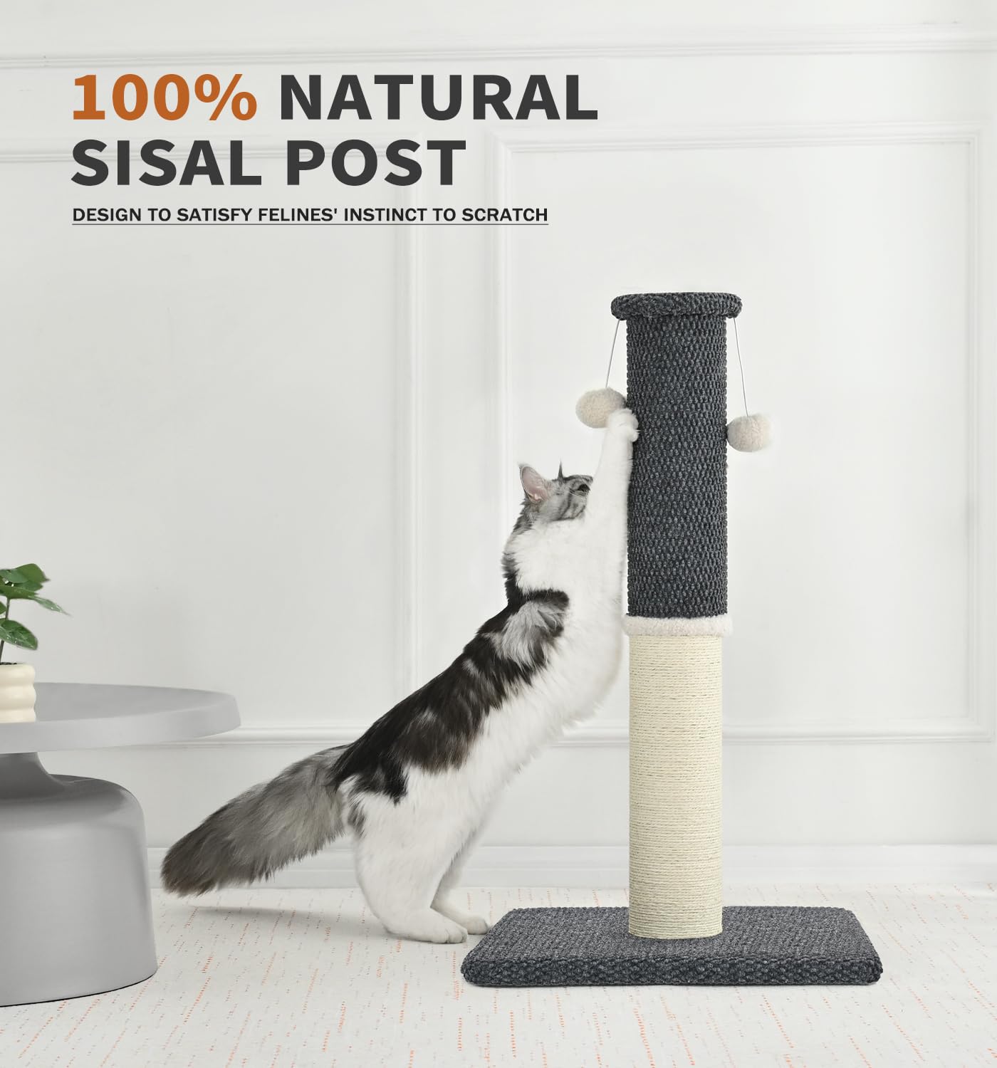 MADE 4 PETS altura de 33 pulgadas para gatos altos y activos.