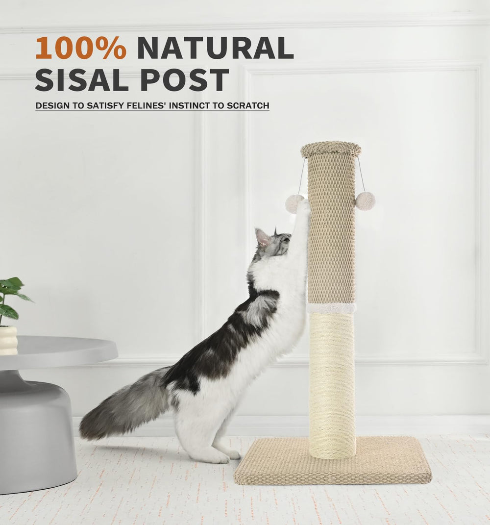 Made4Pets base amplia aporta seguridad durante las sesiones.