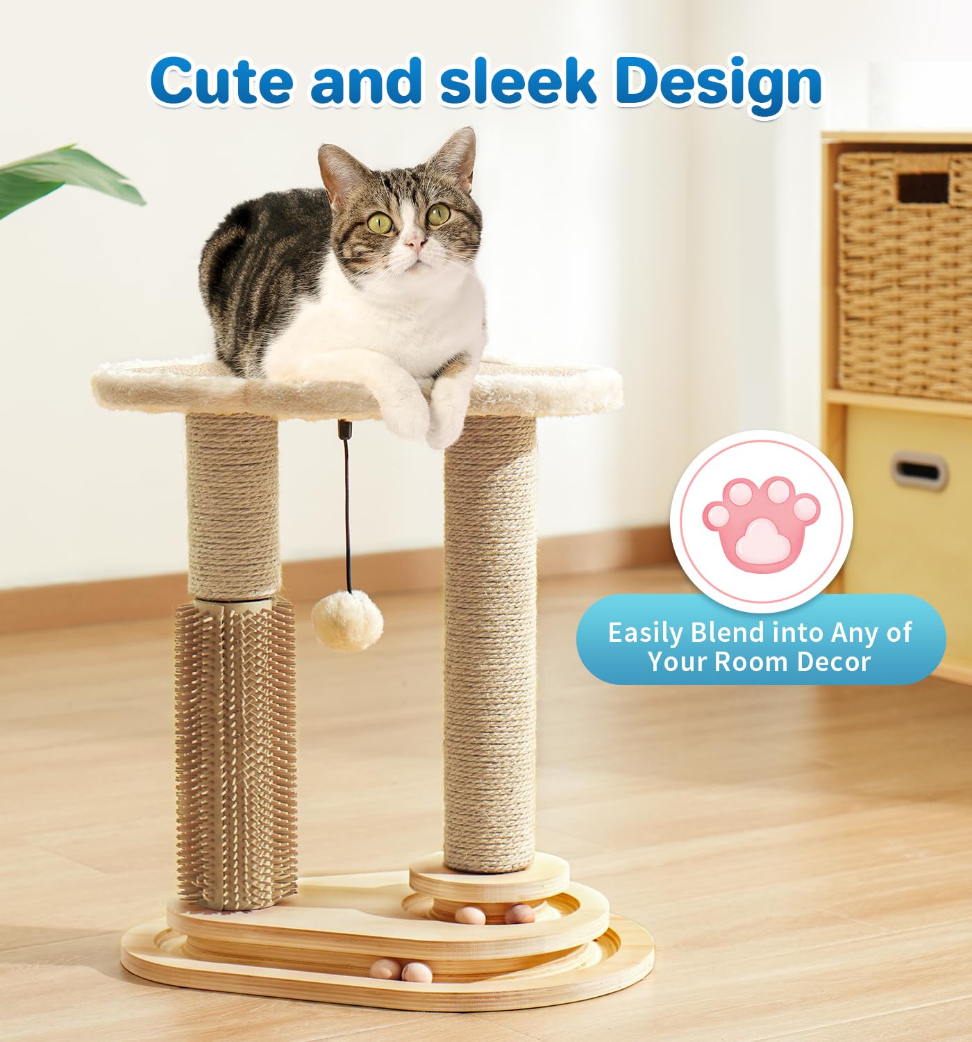 MADE 4 PETS juego completo para gatos pequeños, ideal para gatitos