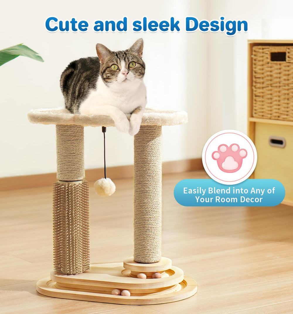 MADE 4 PETS juego completo para gatos pequeños, ideal para gatitos