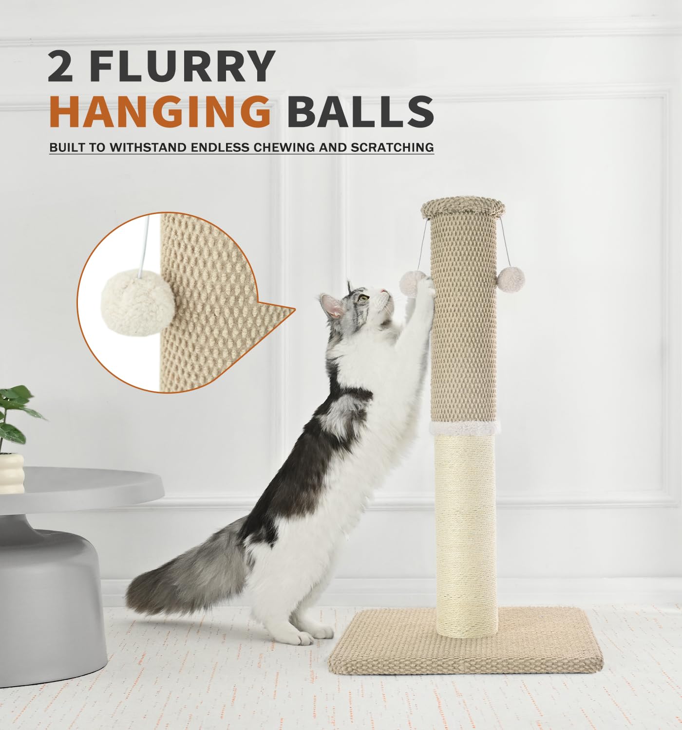 Made4Pets montaje rápido con instrucciones simples para empezar en minutos.